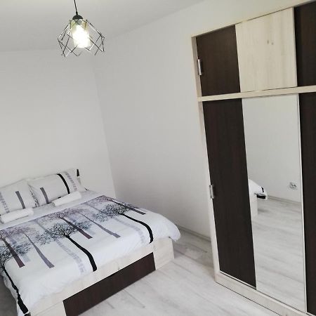 Appartement Apartament Brezoi Extérieur photo