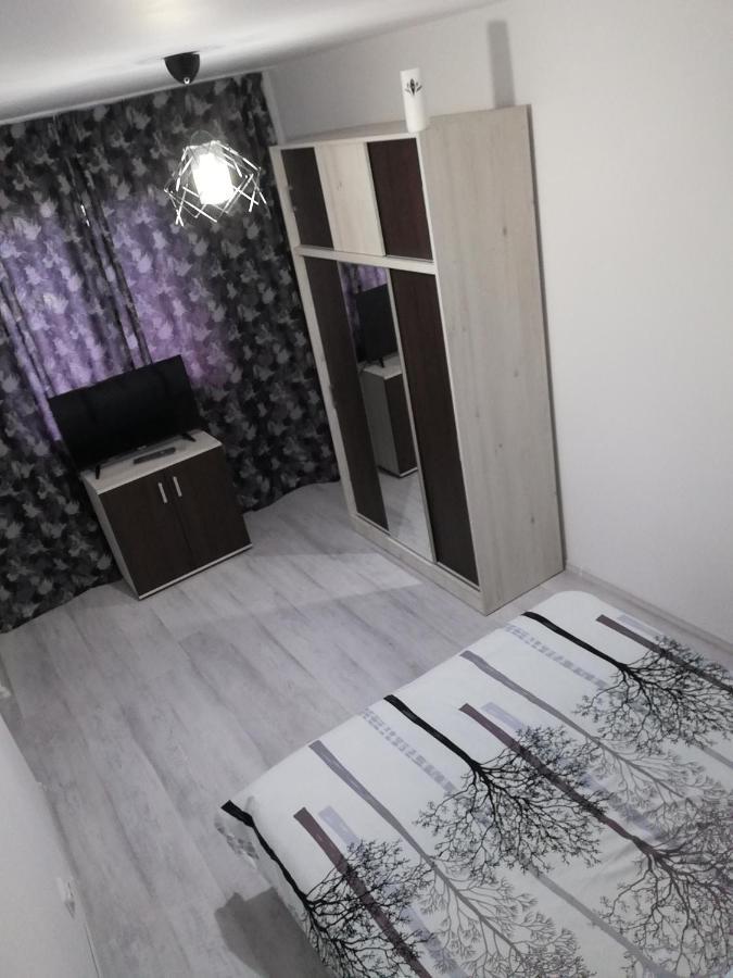 Appartement Apartament Brezoi Extérieur photo