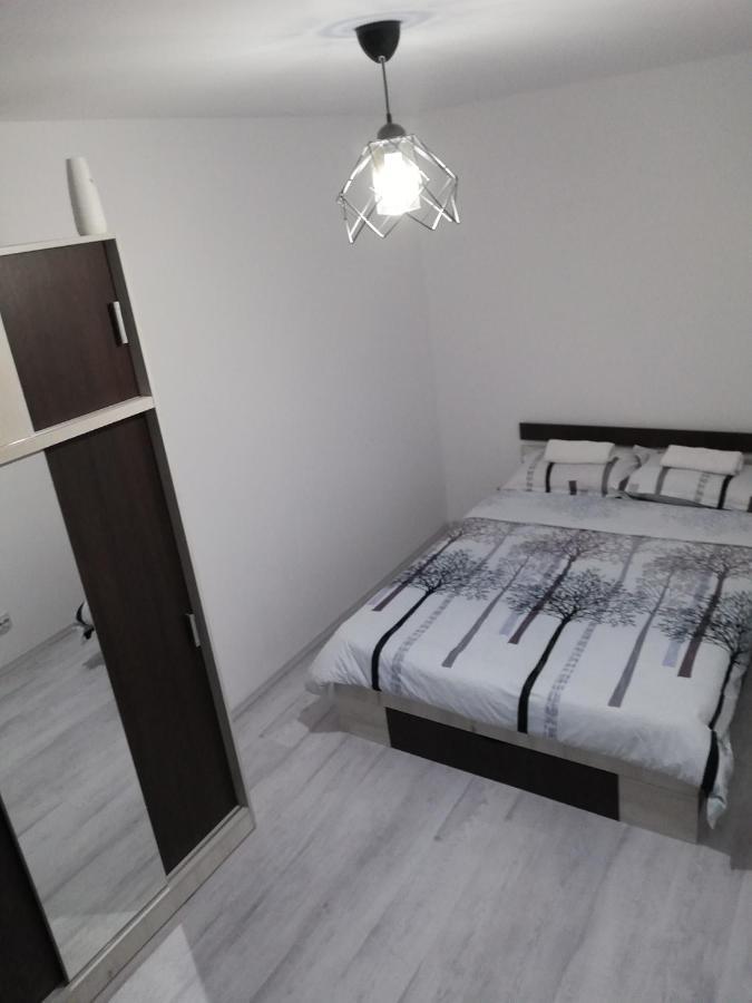 Appartement Apartament Brezoi Extérieur photo