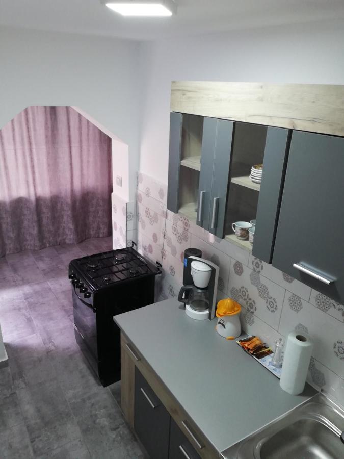 Appartement Apartament Brezoi Extérieur photo