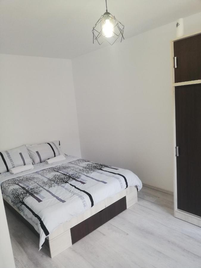 Appartement Apartament Brezoi Extérieur photo
