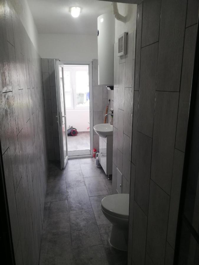 Appartement Apartament Brezoi Extérieur photo