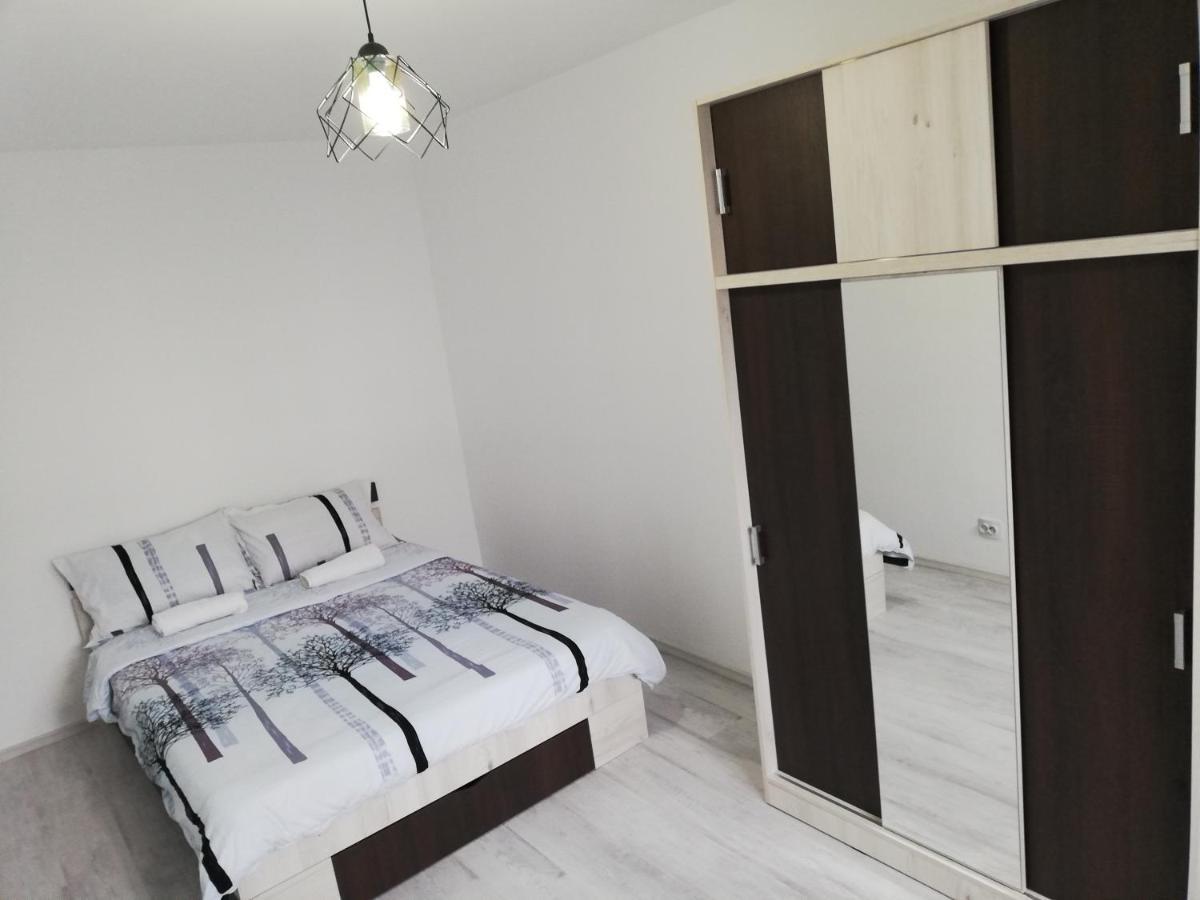 Appartement Apartament Brezoi Extérieur photo