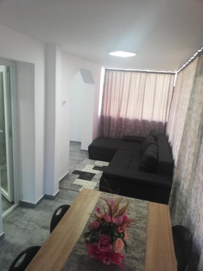 Appartement Apartament Brezoi Extérieur photo