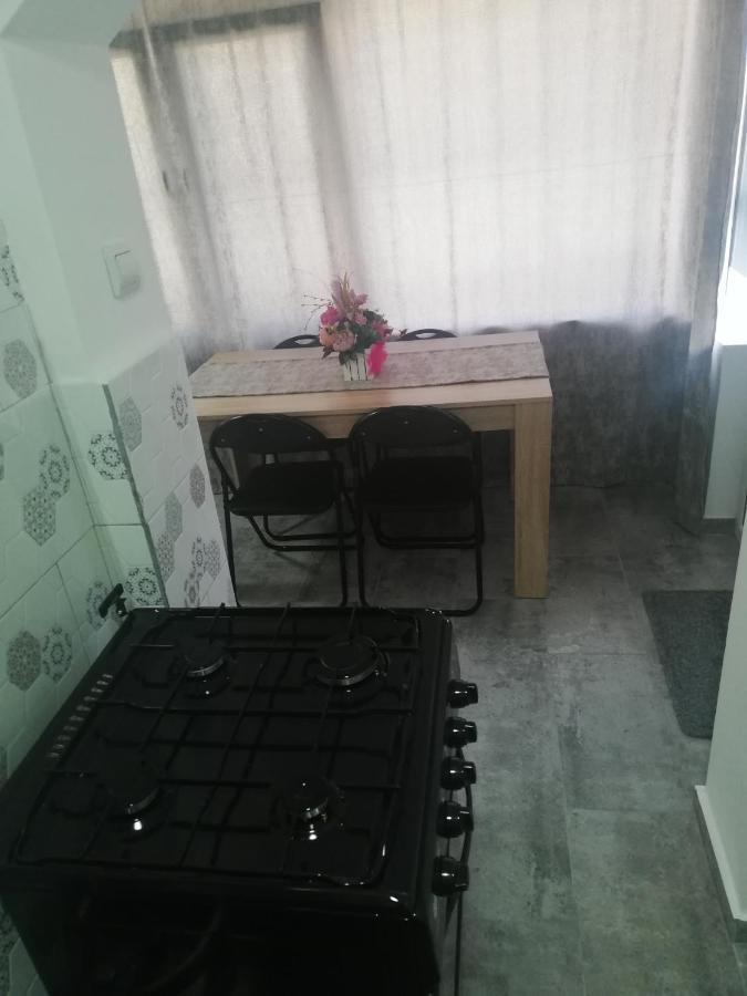 Appartement Apartament Brezoi Extérieur photo