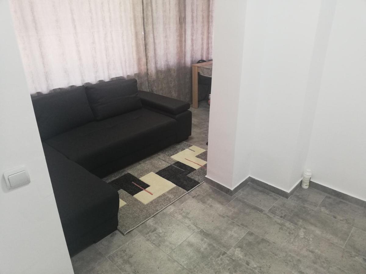 Appartement Apartament Brezoi Extérieur photo