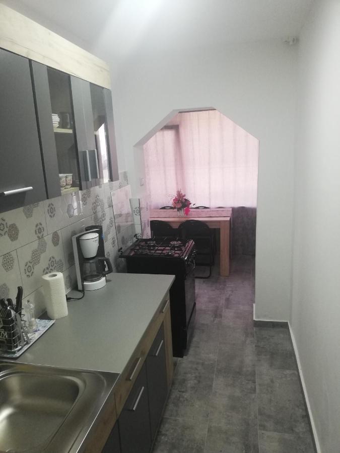 Appartement Apartament Brezoi Extérieur photo
