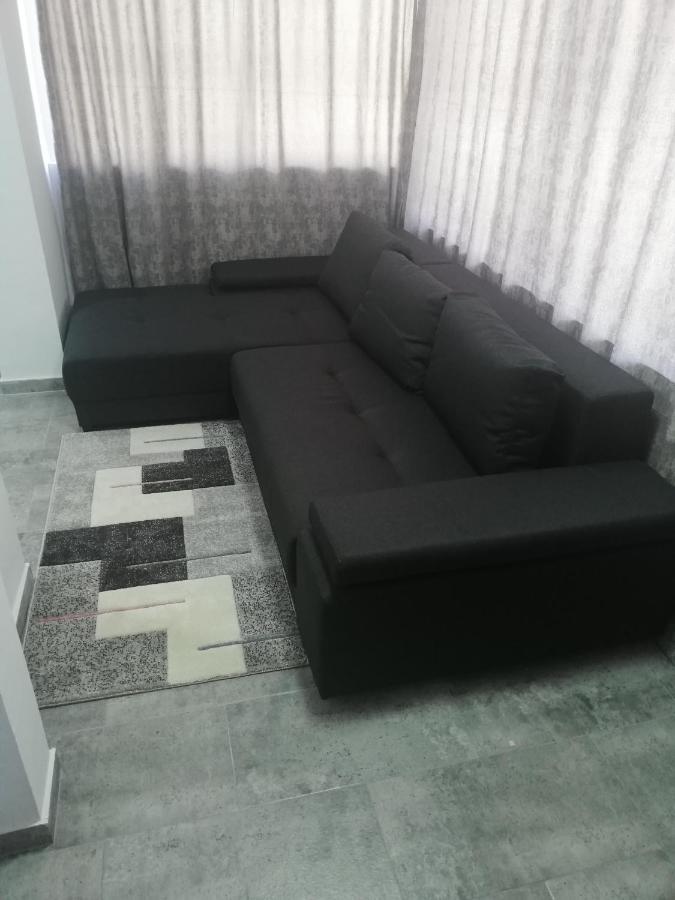 Appartement Apartament Brezoi Extérieur photo