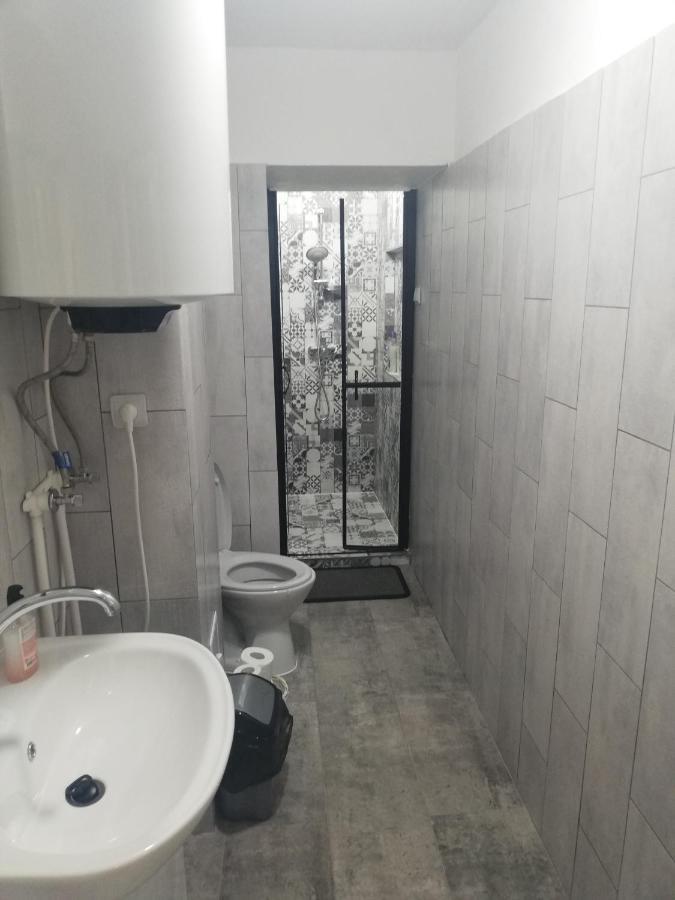 Appartement Apartament Brezoi Extérieur photo