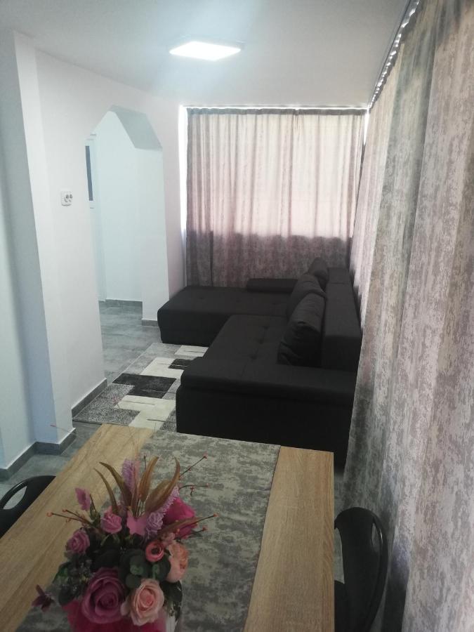 Appartement Apartament Brezoi Extérieur photo